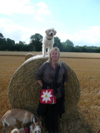 Fellgefaehrten Gabi Dahms mobile Hundeschule