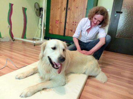 Die HundePhysioPraxis Christine von Kreß