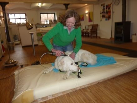 Die HundePhysioPraxis Christine von Kreß