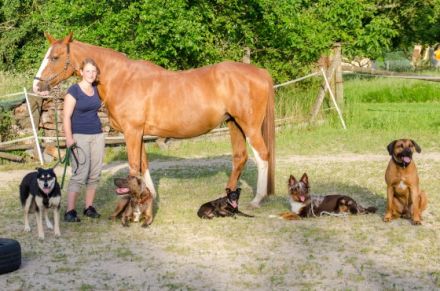 Hundeschule Anna Lange