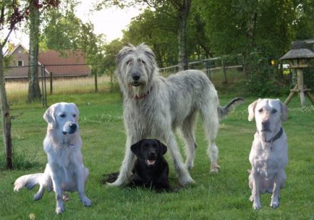 Michaela Führböter