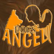 Dog's Angel - Hundeschule a.d. Bergstrasse