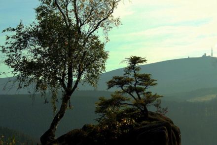 Urlaub / Pension - mit Hund am Brocken