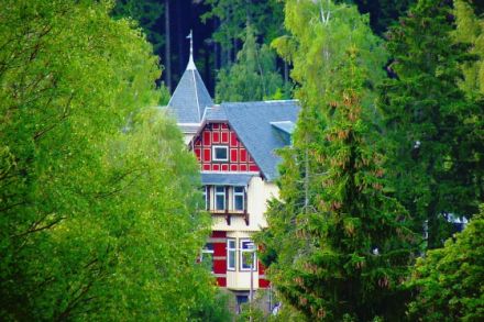 Urlaub / Pension - mit Hund am Brocken