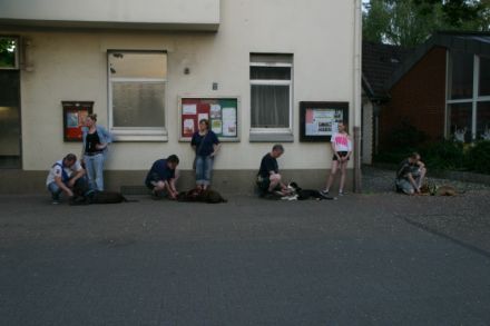 Hundeschule Hannover Dog Coaching