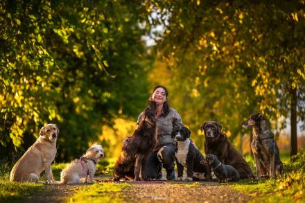 Frei nach Schnauze Hundebetreuung/ Dogwalking & Gassiservice  in Potsdam und Berlin Wannsee