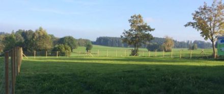 Hundeschule kyno-logisch