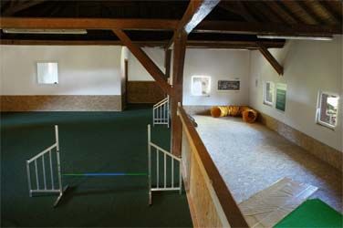 Hundeschule kyno-logisch