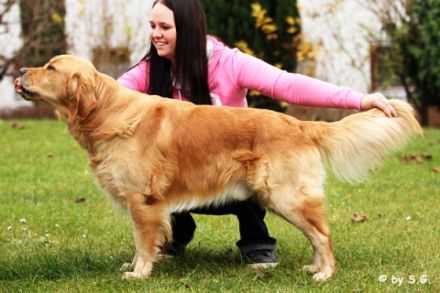 Devotion for Life Rocky von der schwäbischen Toskana