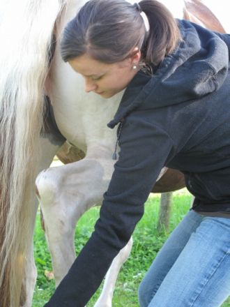 Pferdeosteopathie Lena Rack