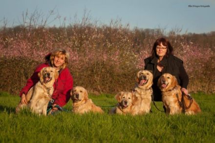 Benno vom Rheydter-Schloss-Schatten