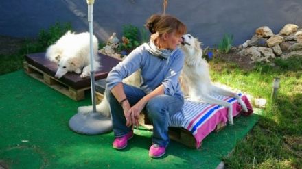 Windhundepension Christina