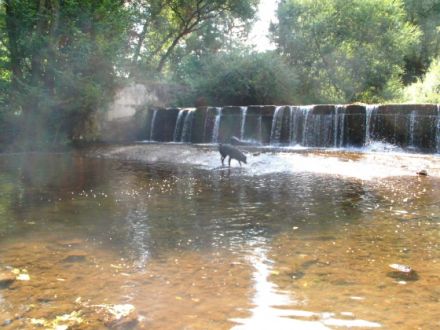 Ferienwohnung Martin Region Mosel/Eifel