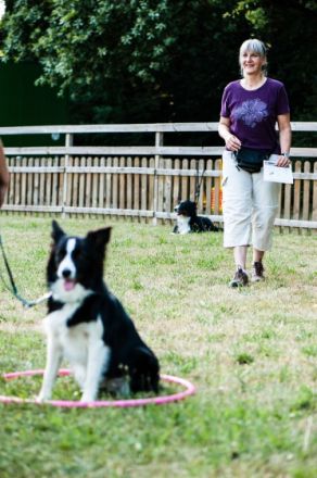 Hundeschule GOOD DOGS