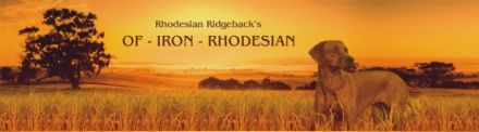 Of-Iron-Rhodesian