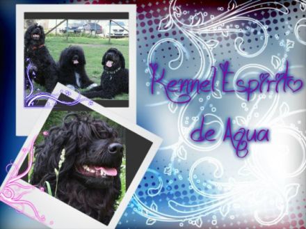 Espirito de Aqua