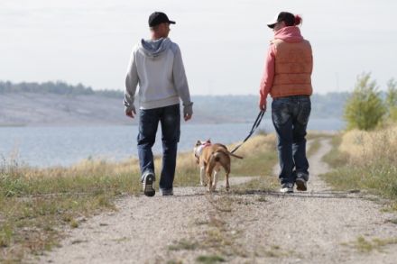 kleinstadtrevier Mensch-Hund-Coaching