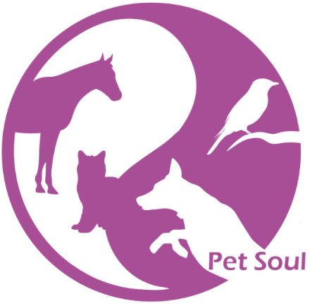 Mobile Tierheilpraxis Gallenmüller - Augsburg - Pet Soul