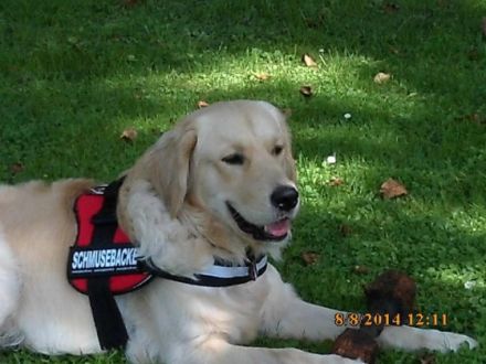 Giaccomo v. Rheydter Schloss Schatten