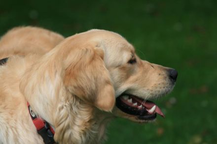 Giaccomo v. Rheydter Schloss Schatten
