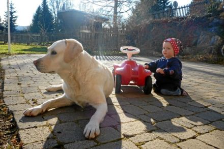 Gästehaus Hundelbach, Ferienwohnungen