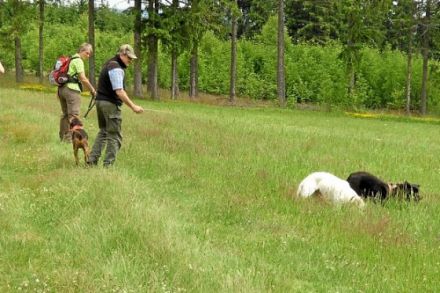 Gästehaus Hundelbach, Ferienwohnungen