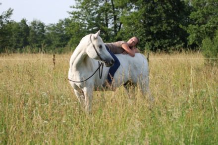 mobile Tierphysiotherapie und -akupunktur