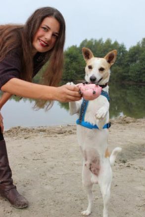 Pfotenraum Praxis für Tierosteopathie und Homöopathie