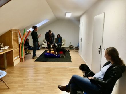 Indoor Hundeschule Miesbach