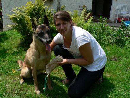 Bernauer Hundeschule