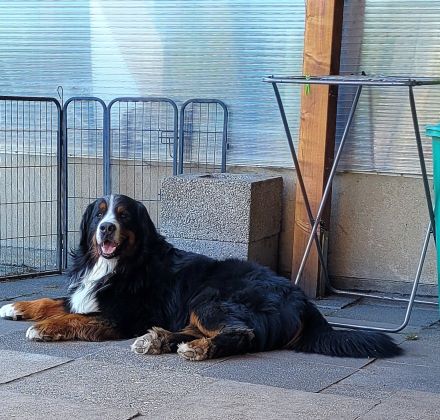 Von den Brüner Höhen