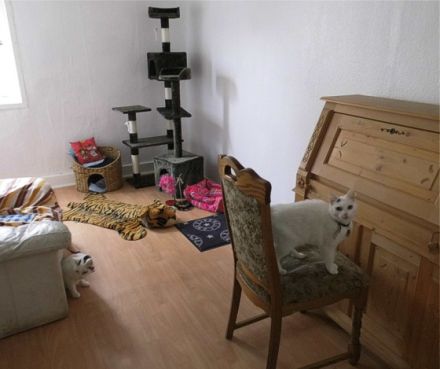 Tierpension Sammys Lodge - Liebevolle Betreuung