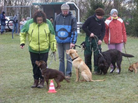 Hundegruppe des Tierschutzvereins Reichenbach