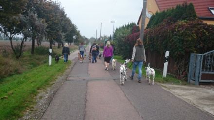 hundeschule-instinkt