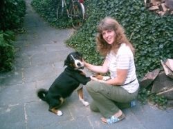 Pfötchentreff-Seevehaus