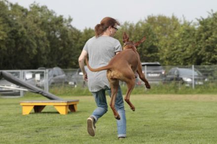 Fellwechsel - Schule für Mensch und Hund