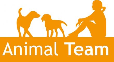Animal Team - Wissen rund ums Tier