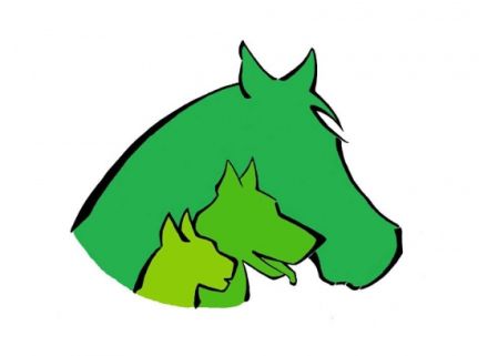 PET-Therapie Physiotherapie und Ernährungsberatung für Tiere