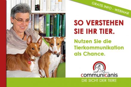 Die Chance der Tierkommunikation erkennen & nutzen 12.06.25