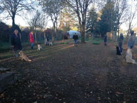 ein-HUND-ert-Prozent