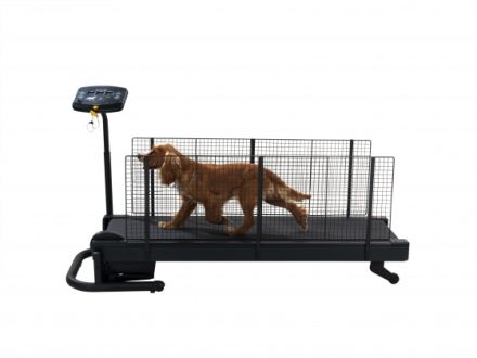 Vier-Pfoten-Studio "Salzböden"