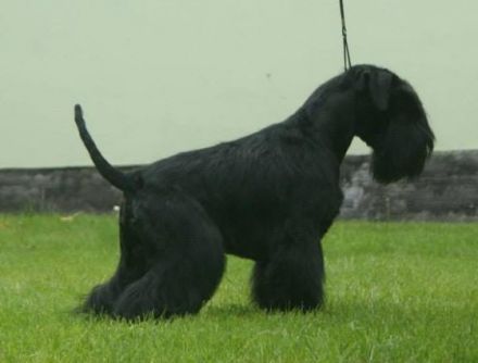 von den black Diamond