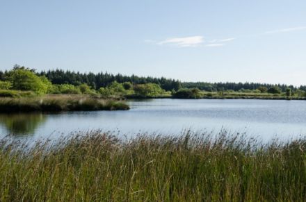 Ferienwohnung bei Wauwiemobil