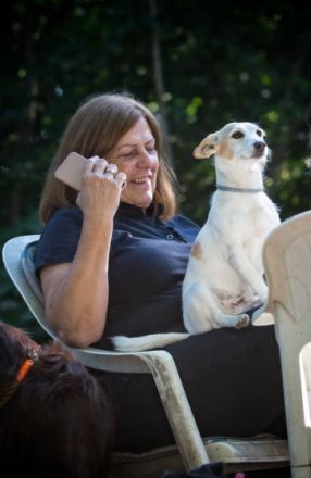 belloberlini Hundebetreuung - Hundepension Berlin