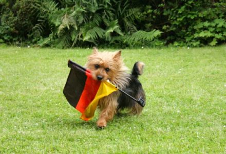 Lesnoy's James T. Kirk