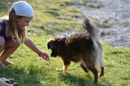 HundeParadies 5-Seen-Land