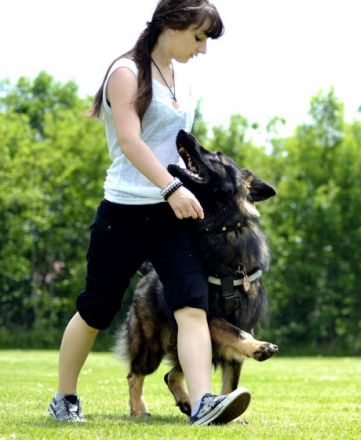 Pikamoz von der schwarzen Natter Bayr. Landesmeister