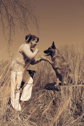 Fitness For Animals- Therapeutische Hundeschule