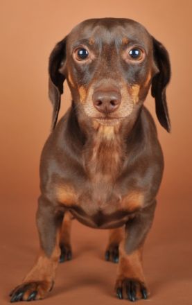 Bodo Böhm von Otten zu Fischbach