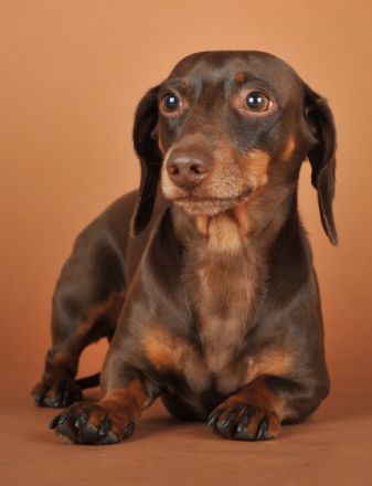 Bodo Böhm von Otten zu Fischbach